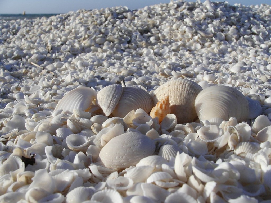 196   Australia Zachodnia